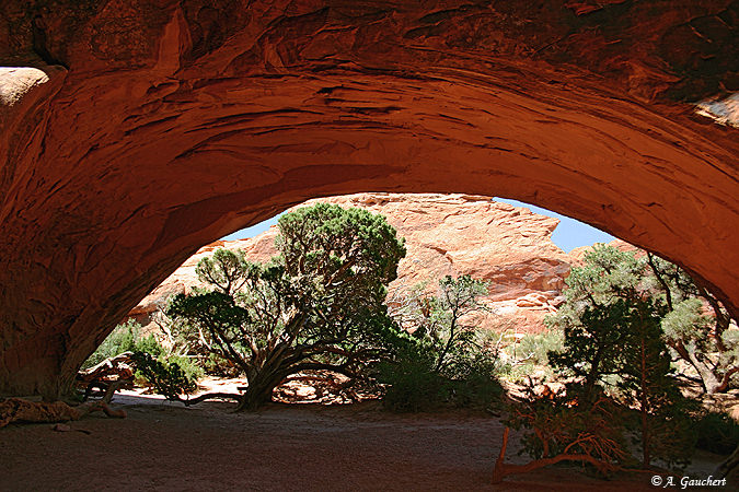 Navajo Arch